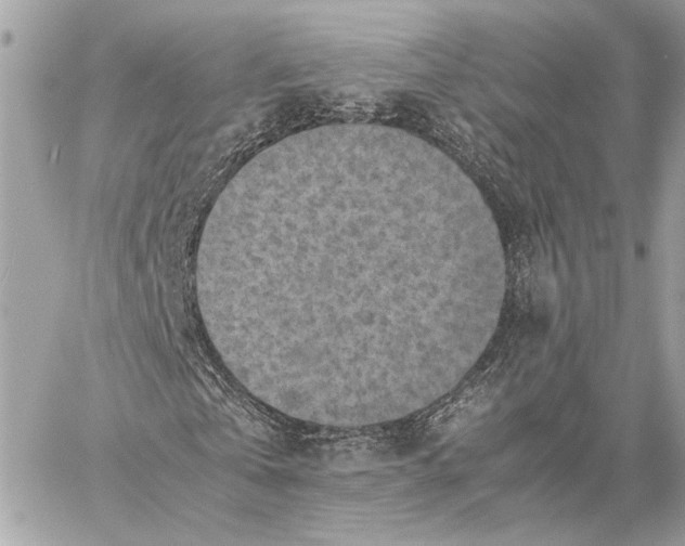 X0000059230769200511041241