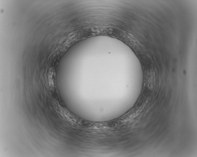 X0000059230770200511041241