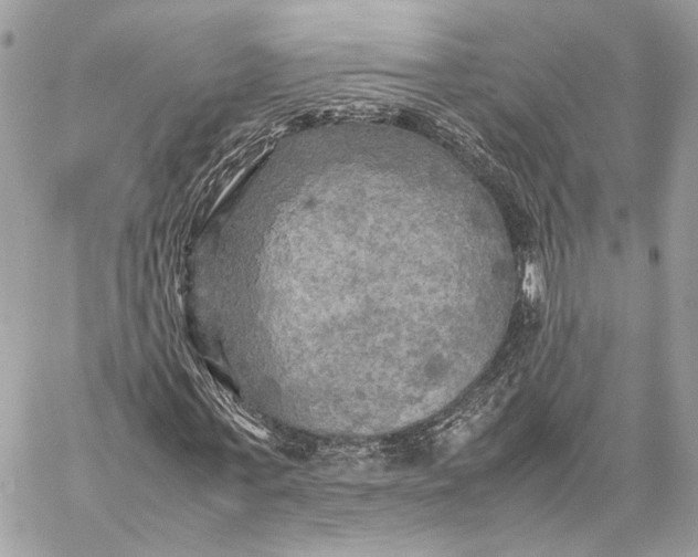 X0000059230771200511041241