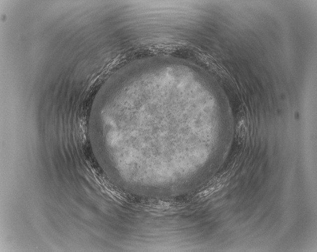 X0000059230772200511041241