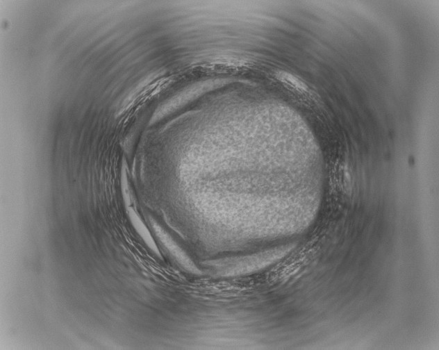 X0000059230774200511041241