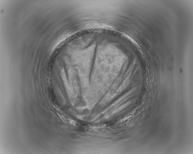 X0000059230775200511041241