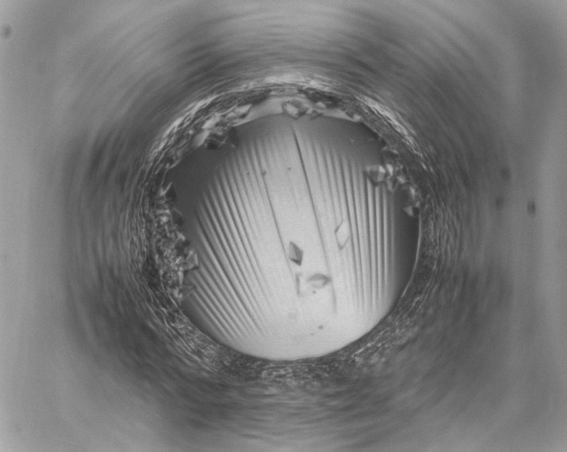 X0000059230776200511041241