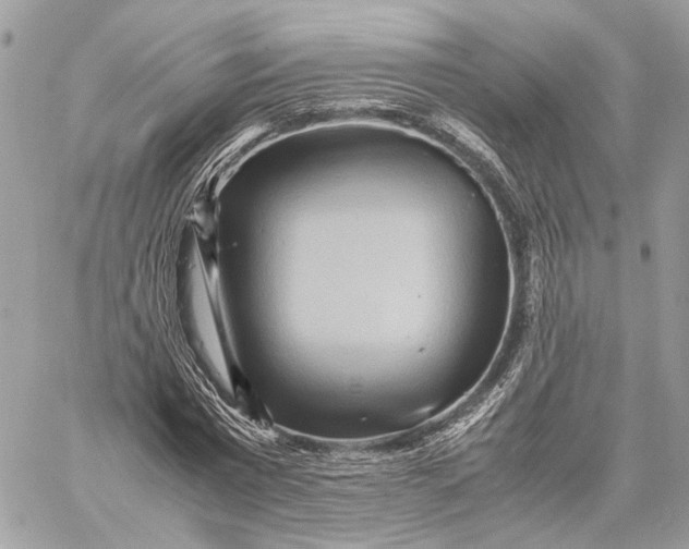 X0000059230777200511041241