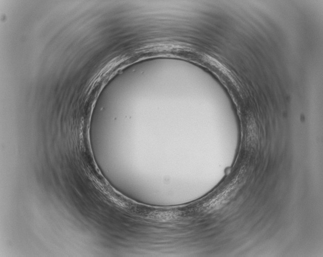 X0000059230778200511041241