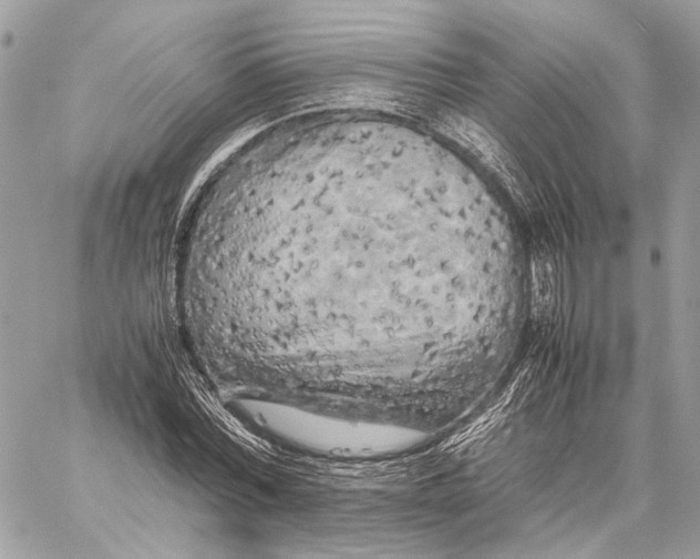 X0000059230780200511041240