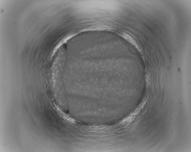 X0000059230781200511041240