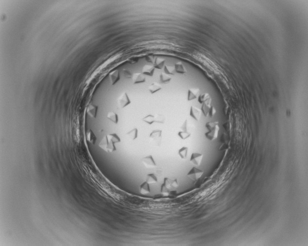 X0000059230782200511041240