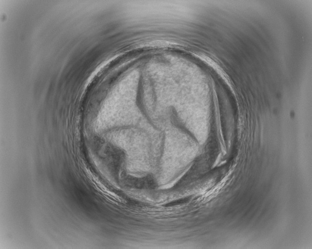 X0000059230783200511041240