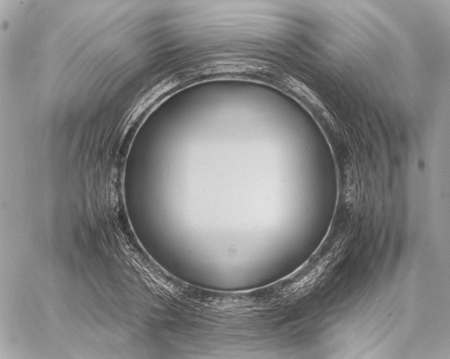 X0000059230786200511041240