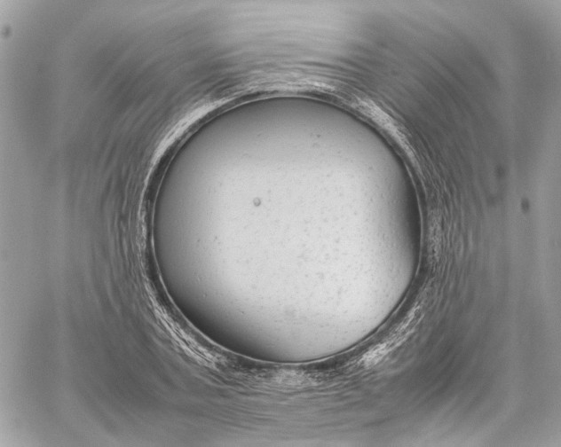 X0000059230787200511041240