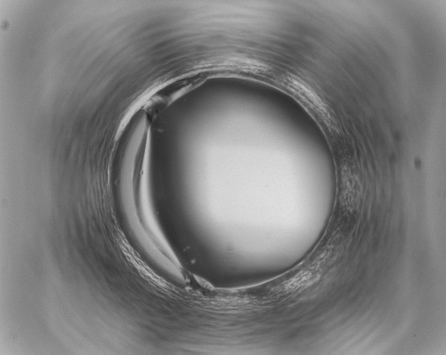 X0000059230788200511041240