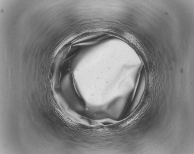 X0000059230789200511041240