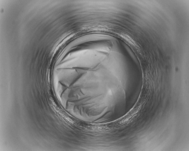 X0000059230790200511041240