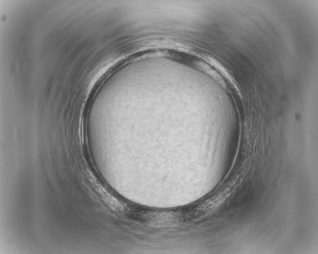 X0000059230791200511041240