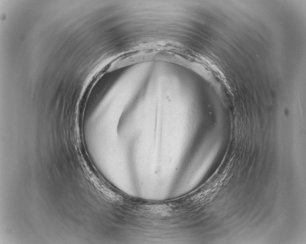 X0000059230792200511041240