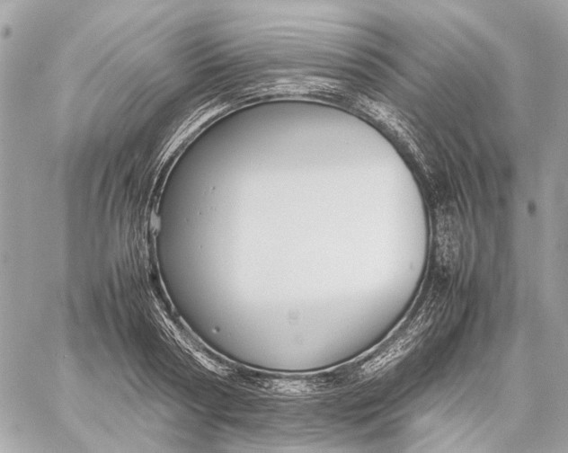 X0000059230794200511041240