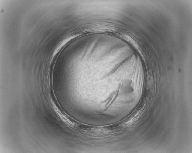 X0000059230795200511041240