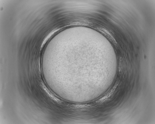 X0000059230796200511041240