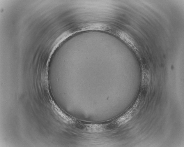 X0000059230800200511041240