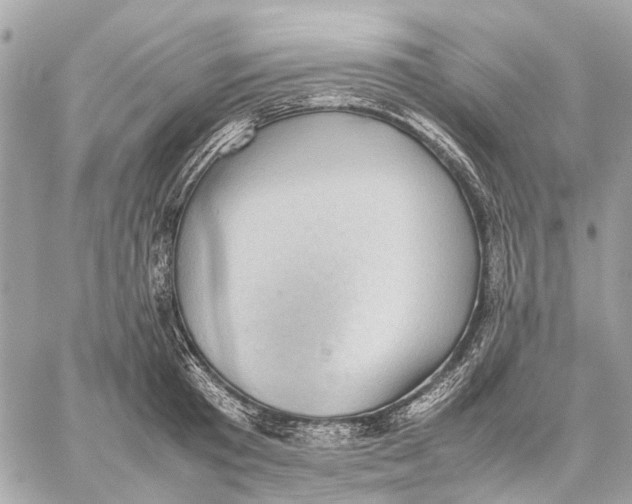 X0000059230801200511041240