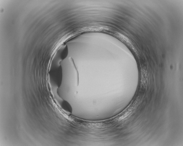 X0000059230802200511041240