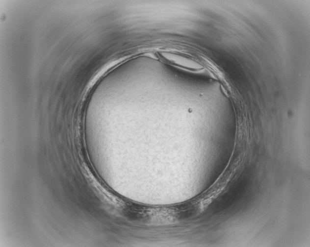 X0000059230803200511041240