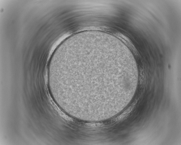 X0000059230804200511041240