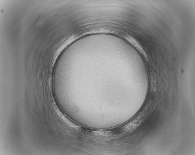 X0000059230805200511041240