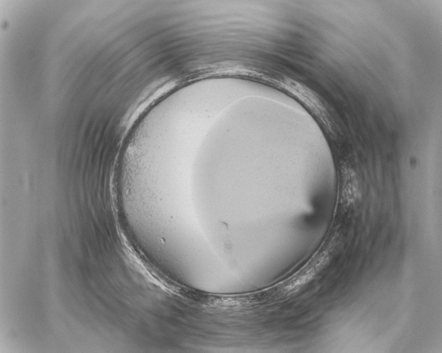 X0000059230806200511041240