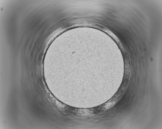 X0000059230807200511041240