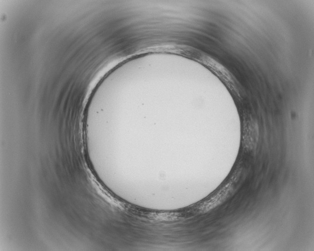 X0000059230808200511041240