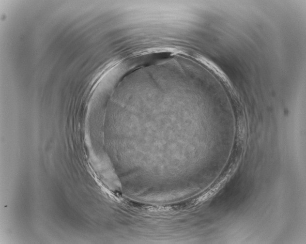 X0000059230809200511041240