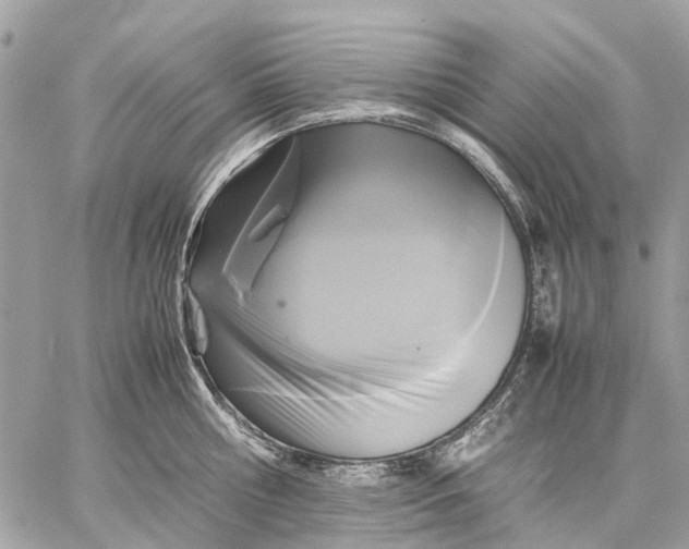 X0000059230810200511041240