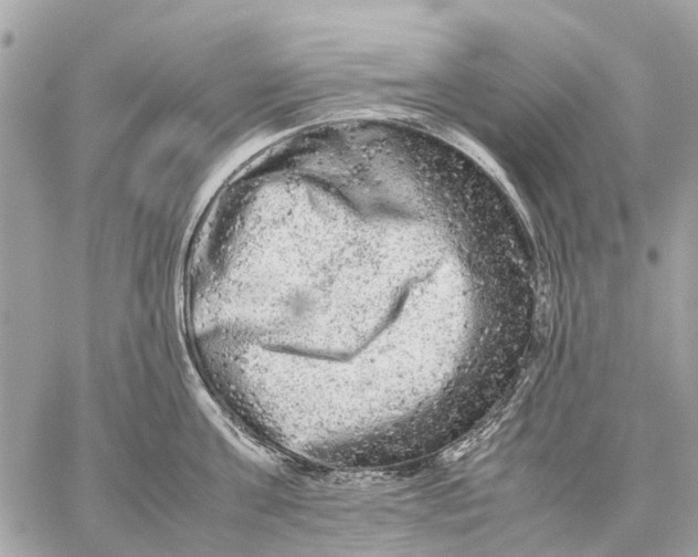 X0000059230811200511041240