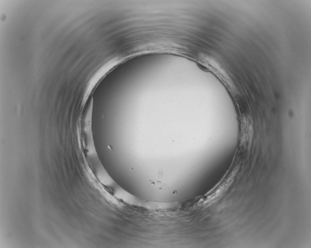 X0000059230812200511041240