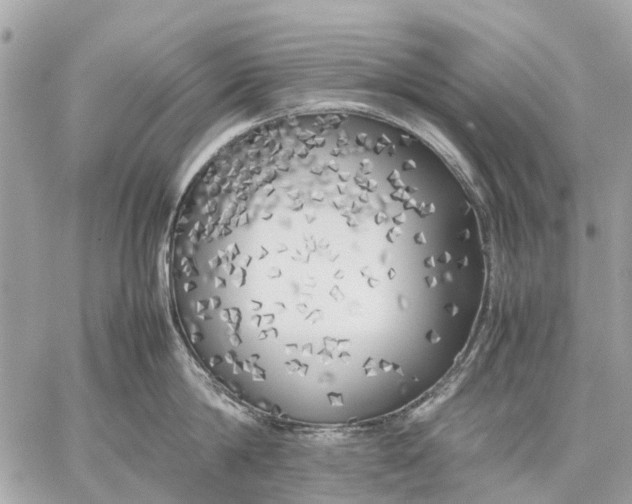 X0000059230814200511041240