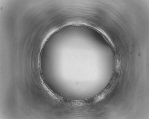 X0000059230815200511041240