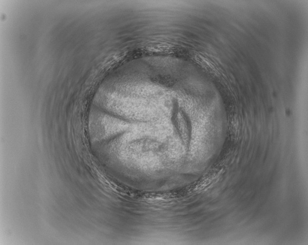 X0000059230817200511041239