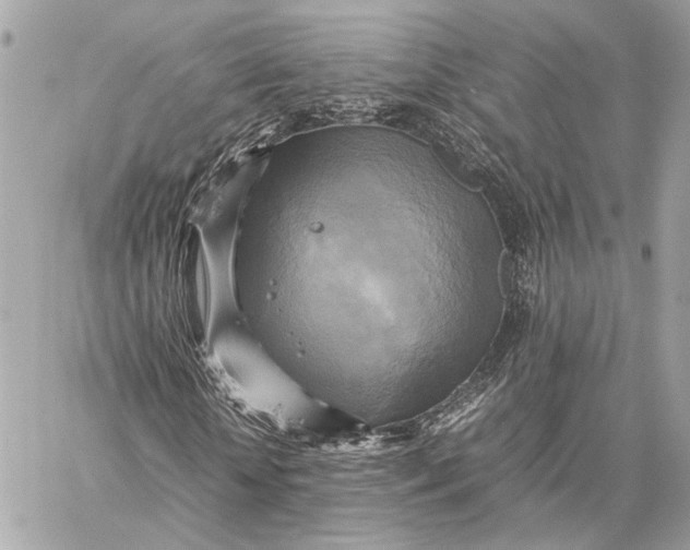 X0000059230818200511041239