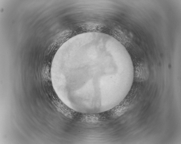 X0000059230820200511041239