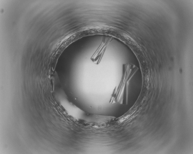 X0000059230822200511041239