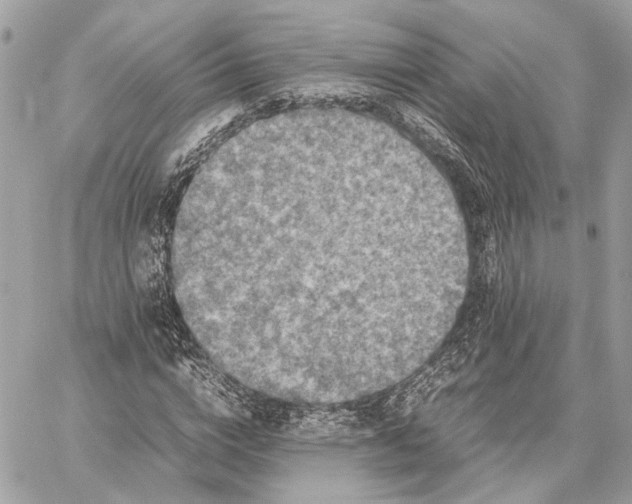 X0000059230824200511041239