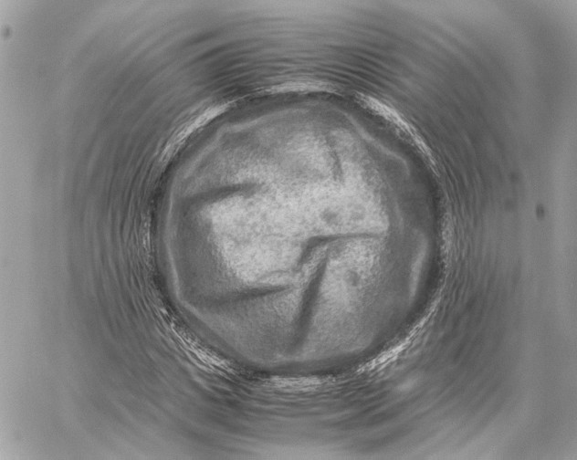 X0000059230825200511041239