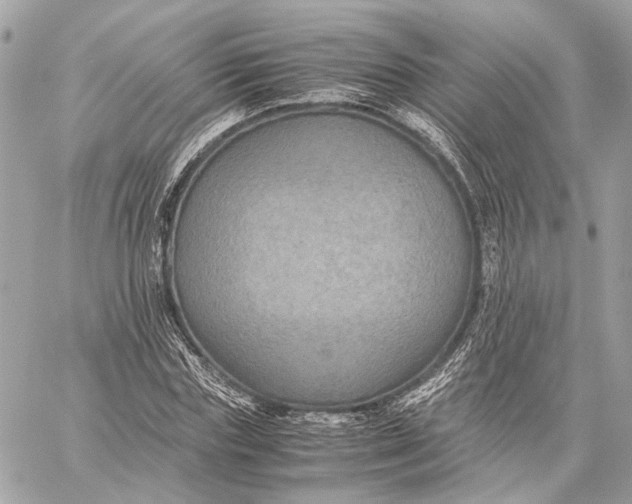 X0000059230827200511041239