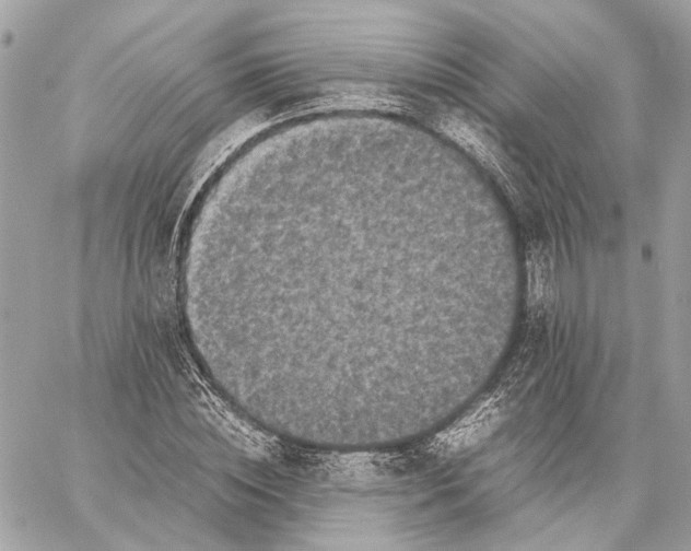 X0000059230828200511041239