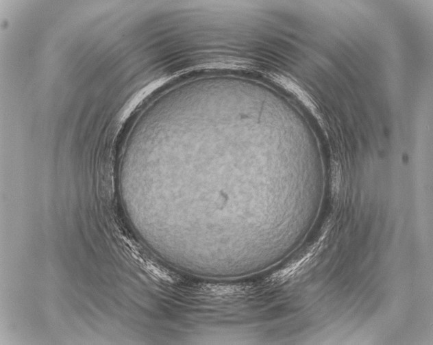 X0000059230829200511041239