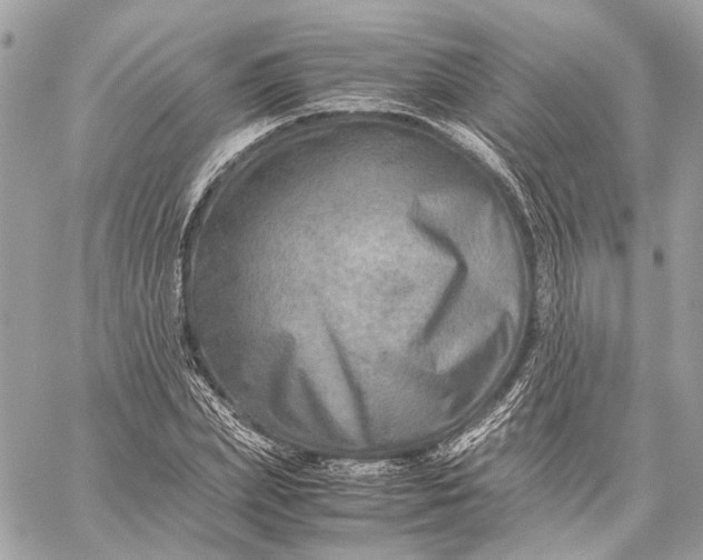 X0000059230831200511041239