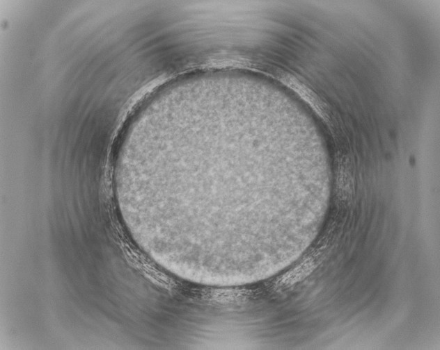 X0000059230832200511041239