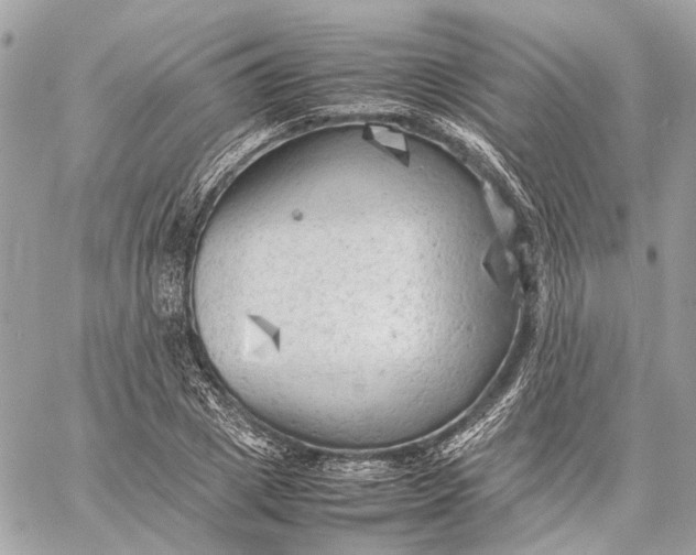 X0000059230833200511041239